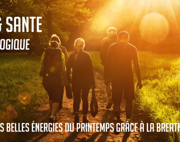 Accéder à l'article