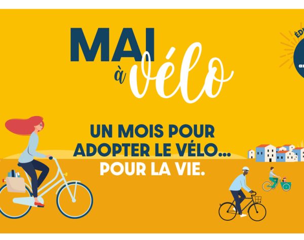 Accéder à l'article