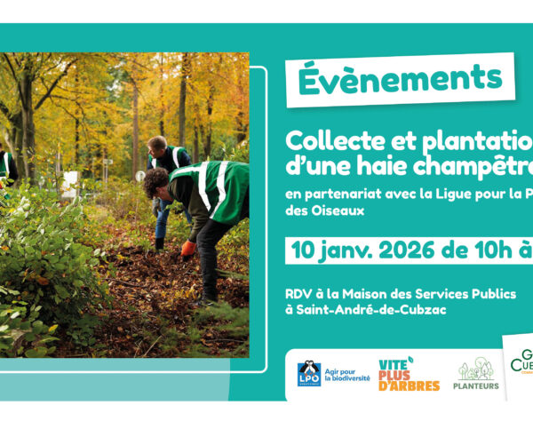 Accéder à l'article