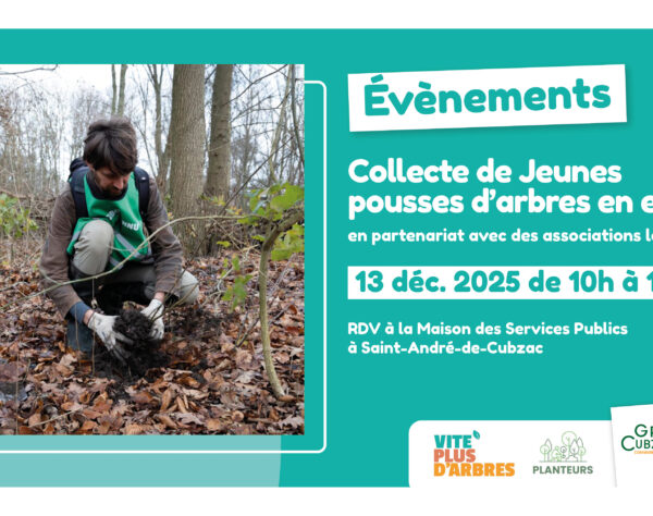 Accéder à l'article