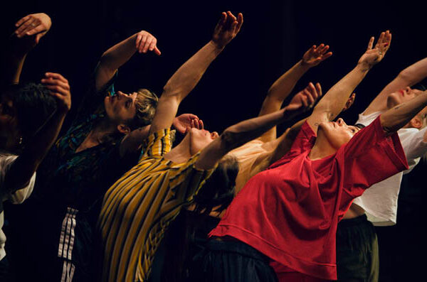 Accéder à l'article