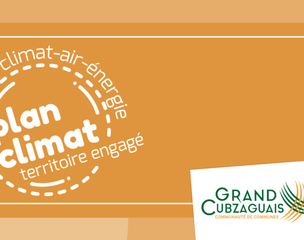 Accéder à l'article