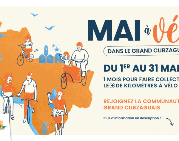 Accéder à l'article