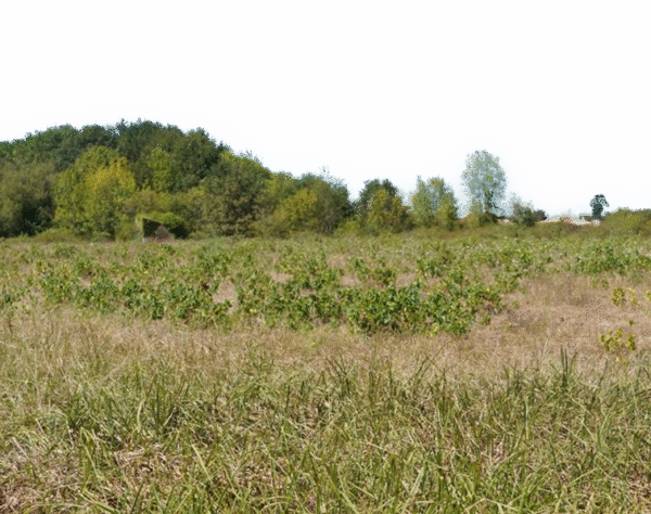 Accéder à l'article